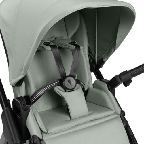 Прогулочная коляска ABC Design Samba 2 Pine